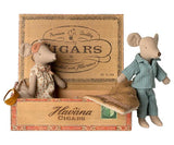 Mum and dad mice in cigarbox - Wild Skyes