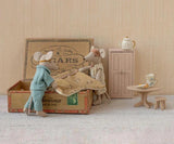 Mum and dad mice in cigarbox - Wild Skyes